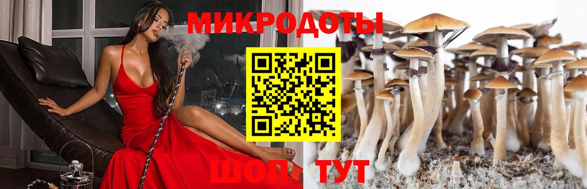 Галлюциногенные грибы GOLDEN TEACHER Вольск